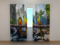 Photo curtains Three Parrots