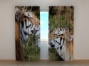 Photo curtains Tigers Devotion