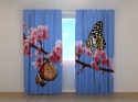 Photo curtains Two Butterflies