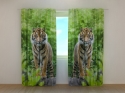 Photo curtains Two Tigers