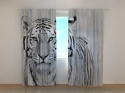 Photo curtains White Tiger