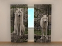Photo curtains White Wolfs