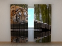 Photo curtains Wisdom of Tiger