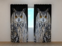 Photo curtains Attentive Owl