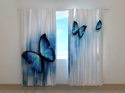 Photo curtains Blue Butterflies