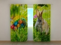 Photo curtains Easter Rabbit