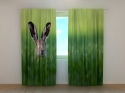 Photo curtains Easter Rabbit in Green Grass