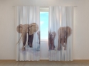 Photo curtains Elephant Family