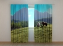 Photo curtains Family of Bears in a Forest Glade