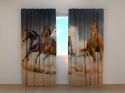 Photo curtains Herd of Horses 1