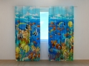 Photo curtains Bright Fishes
