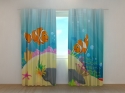Photo curtains Clownfishes