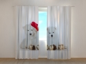 Photo curtains Christmas Puppies