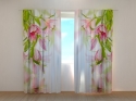 Photo curtains Pink Lilies