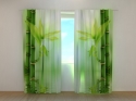 Photo curtains Green Bamboo