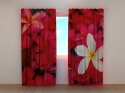 Photo curtains Scarlet Flowers
