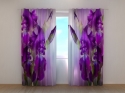 Photo curtains Velvet Irises