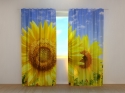 Photo curtains Flowers of the Sun