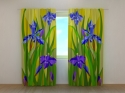 Photo curtains Irises