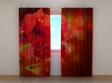 Photo curtains Red Hibiscus