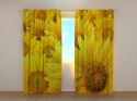 Photo curtains Sunflowers