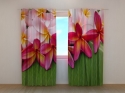 Photo curtains Tropical Flowers
