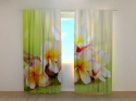 Photo curtains Spring Flowers