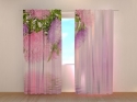 Photo curtains Asters