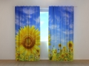Photo curtains  Sunflower