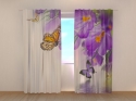 Photo curtains Crocuses and Butterflies