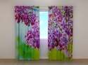 Photo curtains  Lilac May
