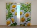 Photo curtains White Camomiles