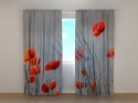 Photo curtains  Wild Poppies