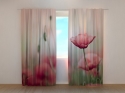Photo curtains Touching Beauty