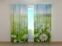Photo curtains Camomiles of Provence
