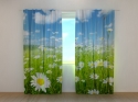 Photo curtains Camomile Field