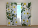 Photo curtains Camomile 2