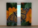 Photo curtains Butterfly and a Flower