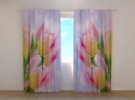 Photo curtains First Tulips