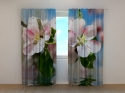 Photo curtains Apple-Tree in Blossom