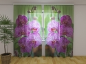 Photo curtains Babylon Orchid