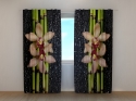 Photo curtains Bamboo, Orchids and Drops