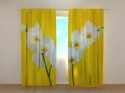 Photo curtains White Orchids