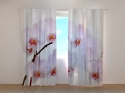 Photo curtains Snow-white Orchid