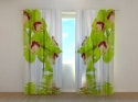 Photo curtains Lime-Coloured Orchid