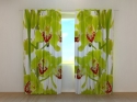 Photo curtains Orchid Liana