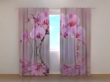 Photo curtains Lily Orchid