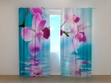 Photo curtains Skyblue Orchids