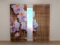 Photo curtains Orchid and Tree