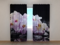 Photo curtains Orchids on Stones